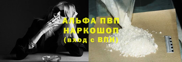 прущий лед Богданович