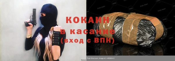 прущий лед Богданович