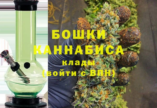 ECSTASY Белокуриха