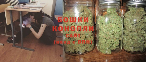прущий лед Богданович