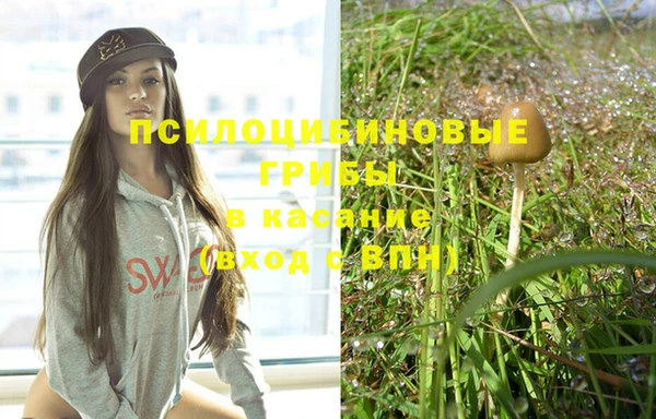 тгк Беломорск