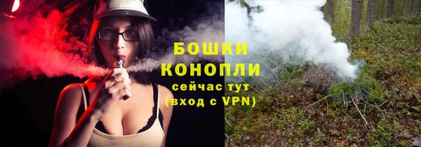 амф Пересвет